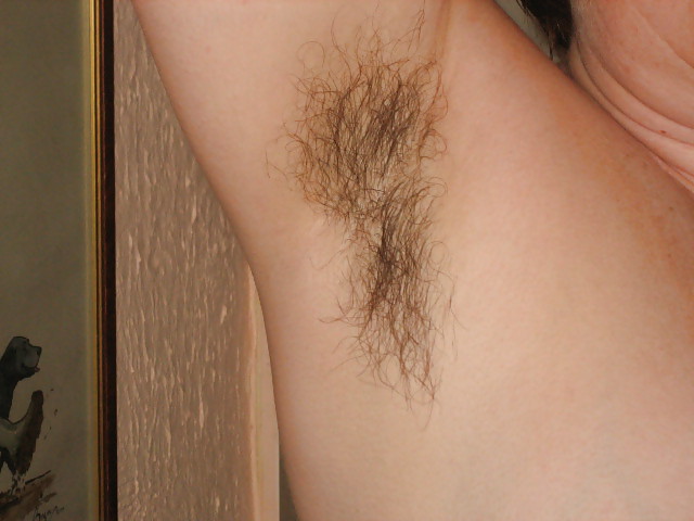 Hairy wife #3730328