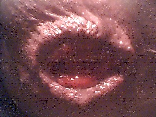 Dialating my asshole #3706219