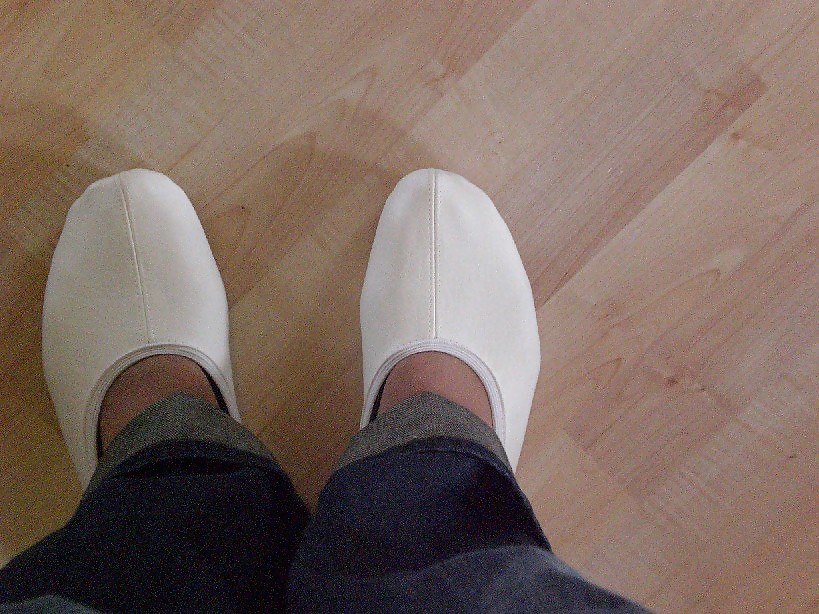 Ballet slippers #8984612