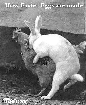 How I knew my new GF was a slut! #8062473