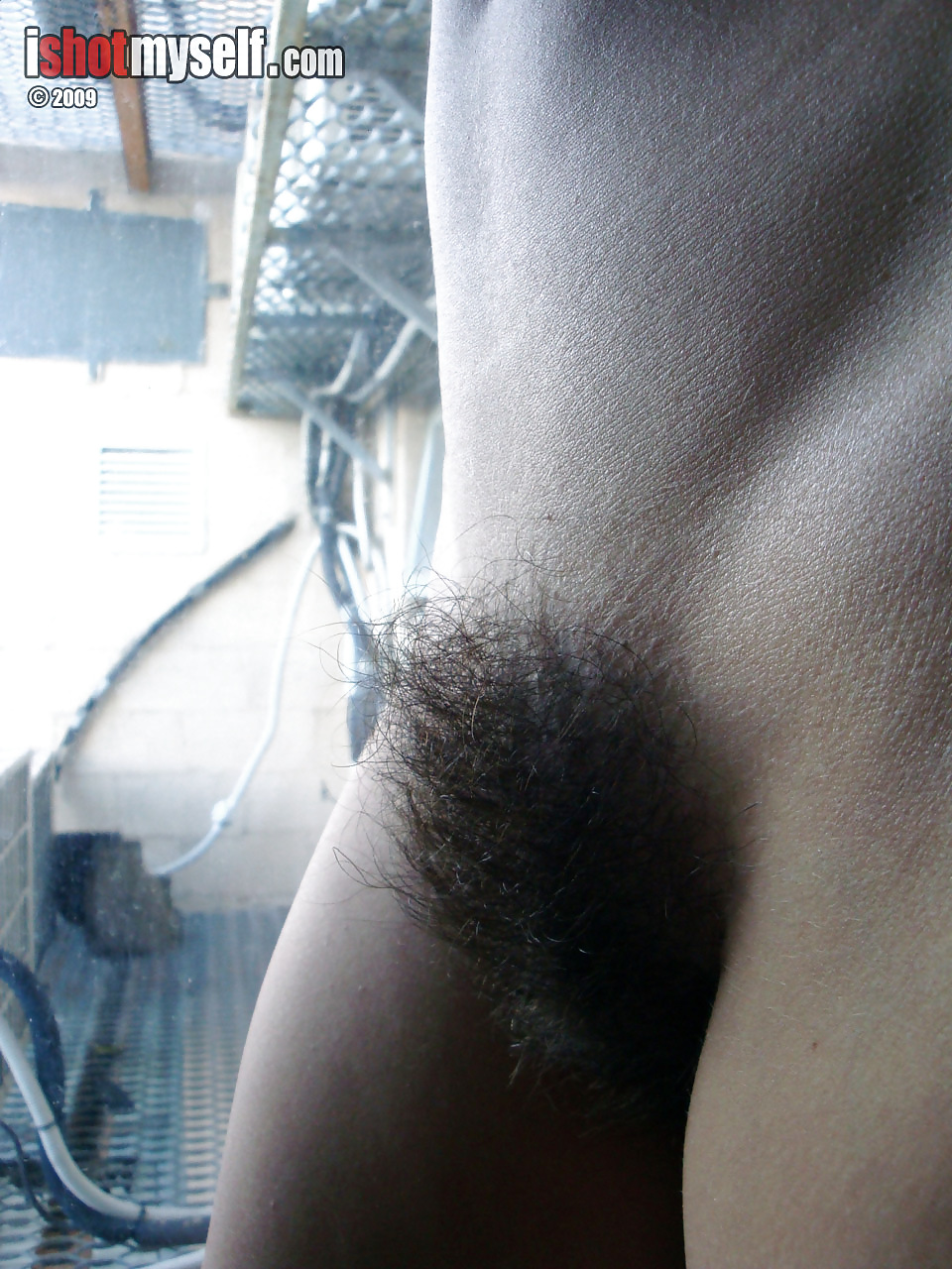 Hairy Bush #10599830