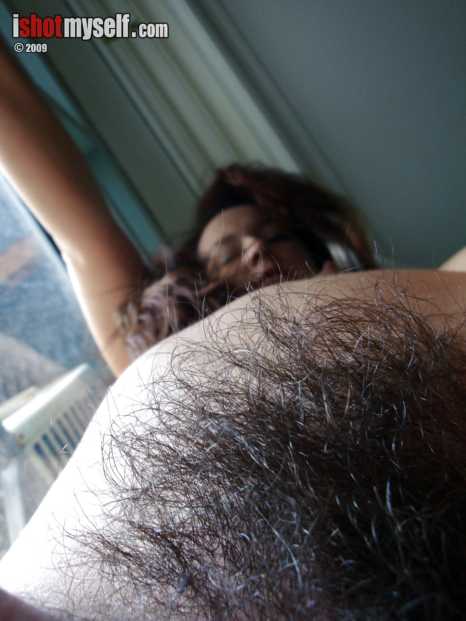 Hairy Bush #10599842