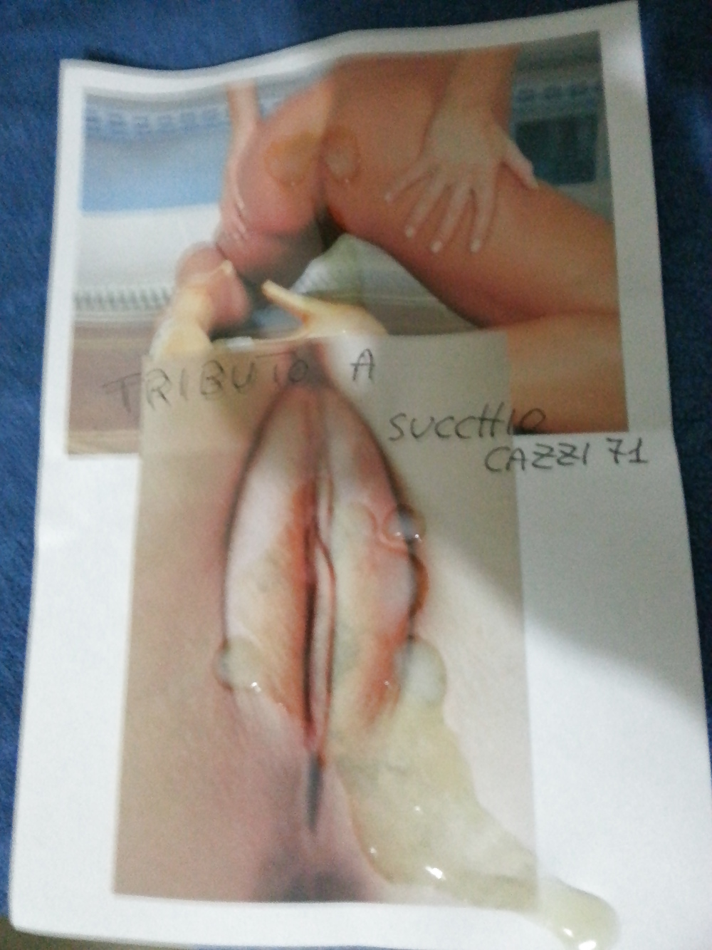 Tributo da orsohot wow
 #20421305