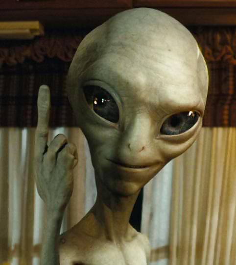 私の子犬
 #8164752