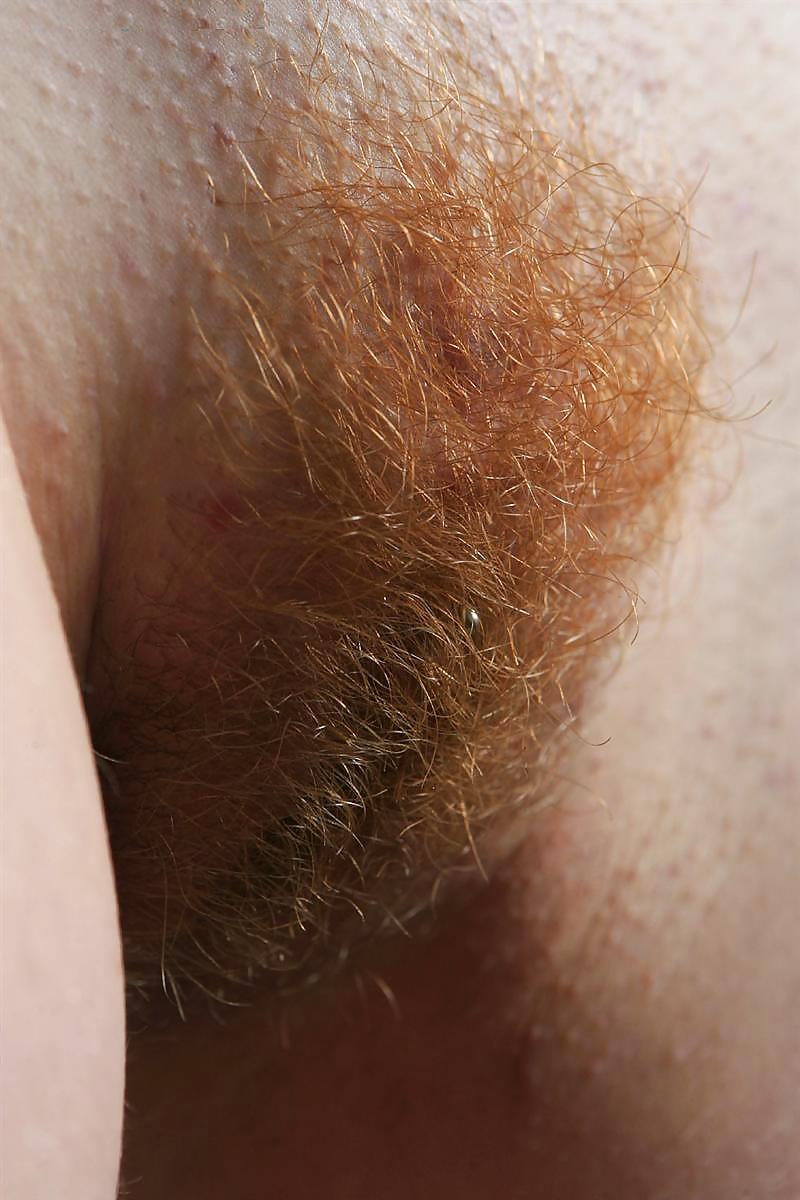 Hairy redhead #2410462