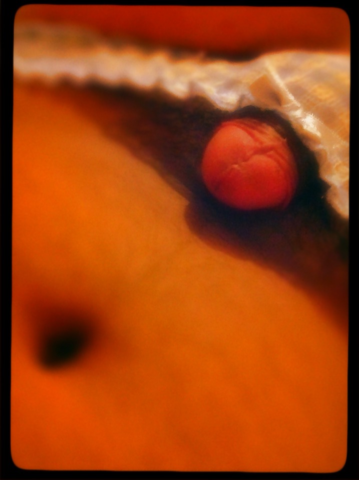 Im horny #8368317