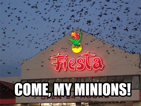 Funny or yeah what eva #4303004