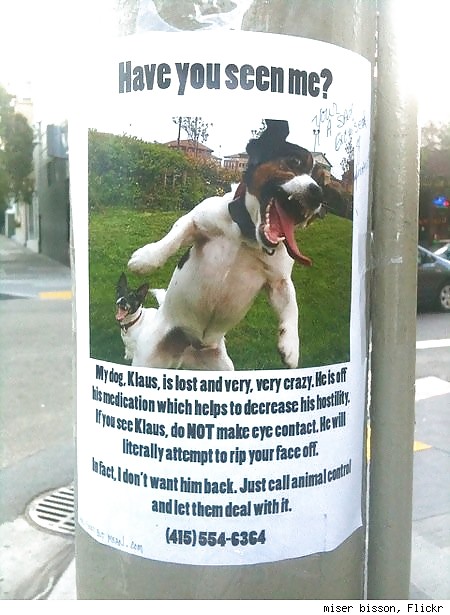 Funny or yeah what eva #4303010