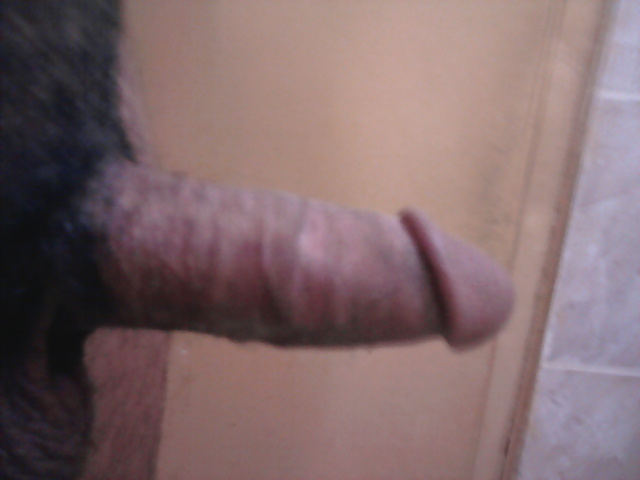 My cock #3158527