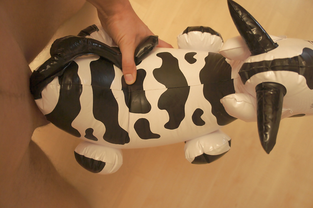 Cow fuck #9850362
