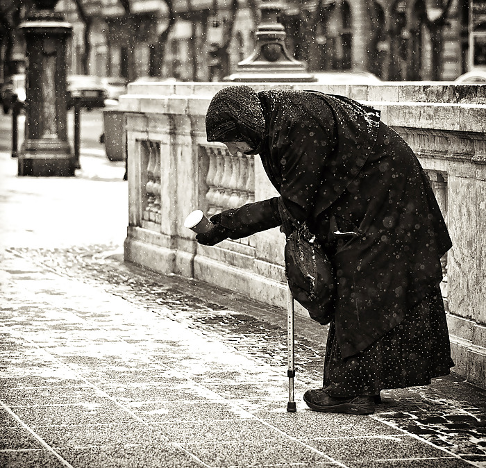 ソーシャル写真
 #3975330