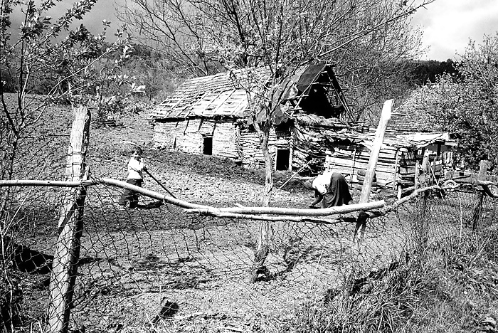 ソーシャル写真
 #3975363