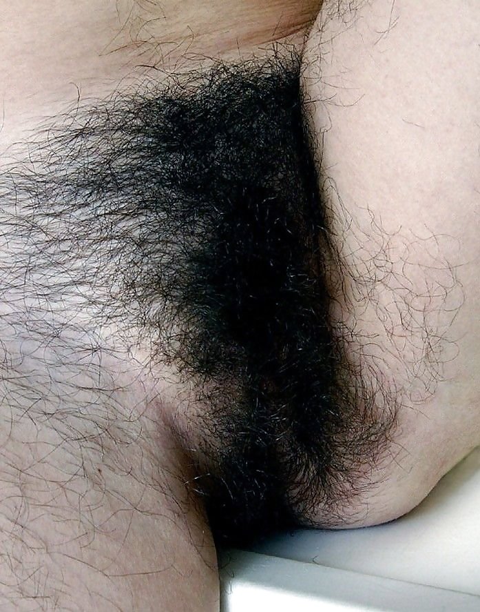 Hairy Close Up #19339013