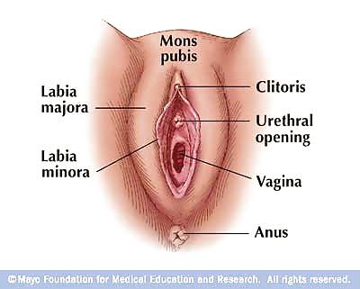 Mis fotos
 #11587326