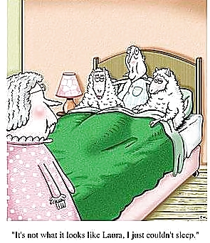 Dibujos animados3
 #22102210