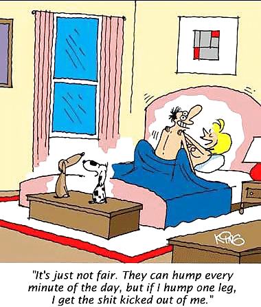 Dibujos animados3
 #22102214