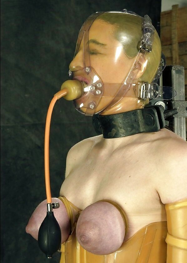 Restraints #15150244