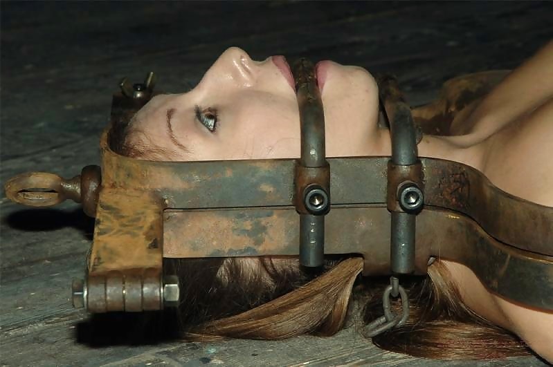 Restraints #15150251
