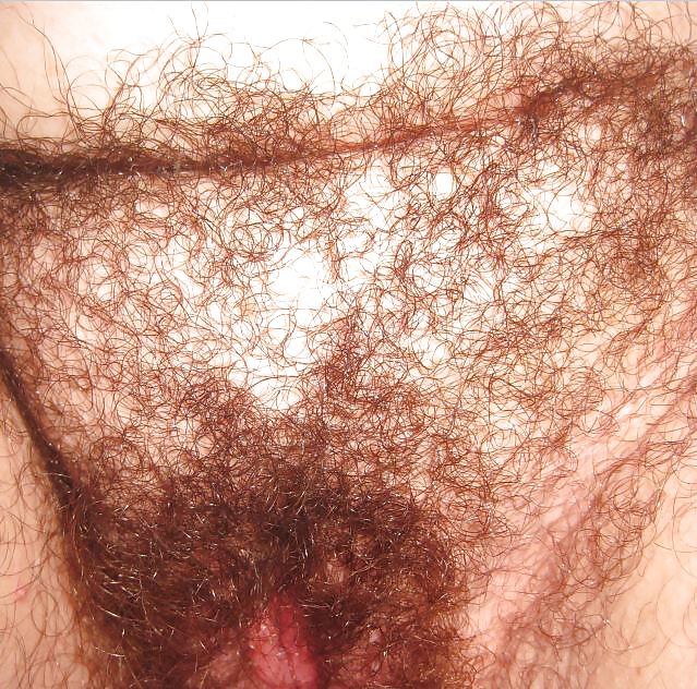 Behaart... #13439868