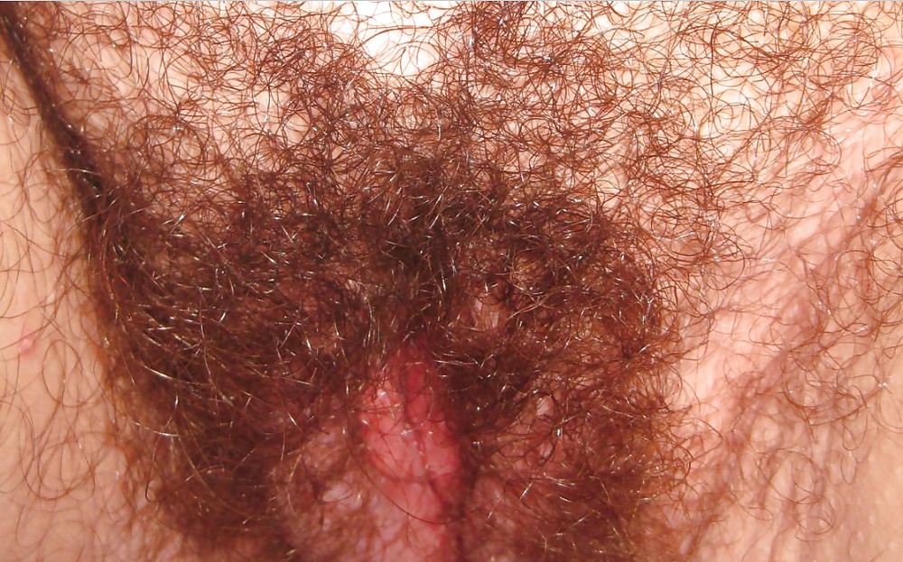 Behaart... #13439876