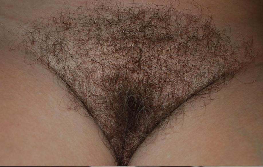 Behaart... #13439897