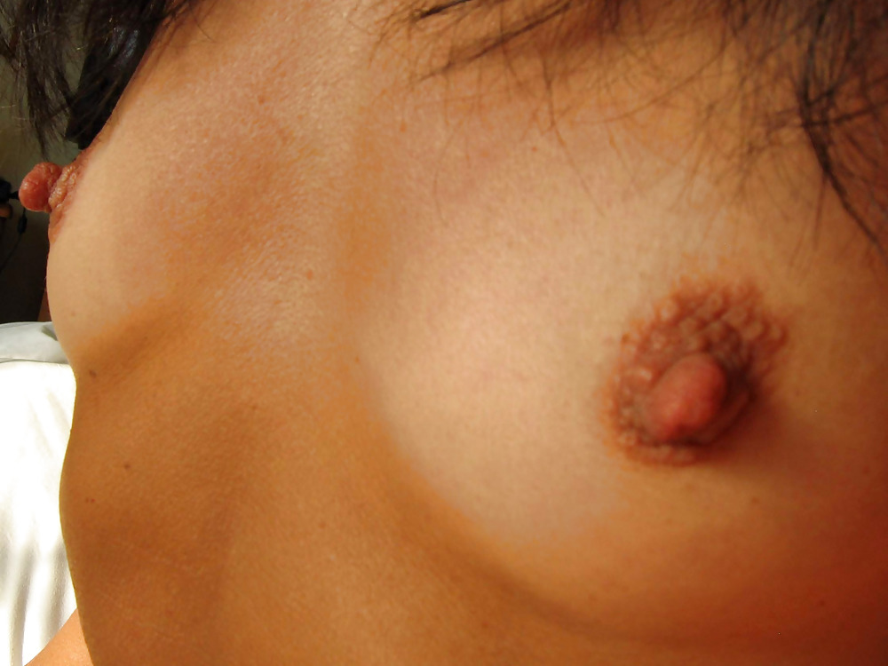 Nips 'n' Miltfs #20290037