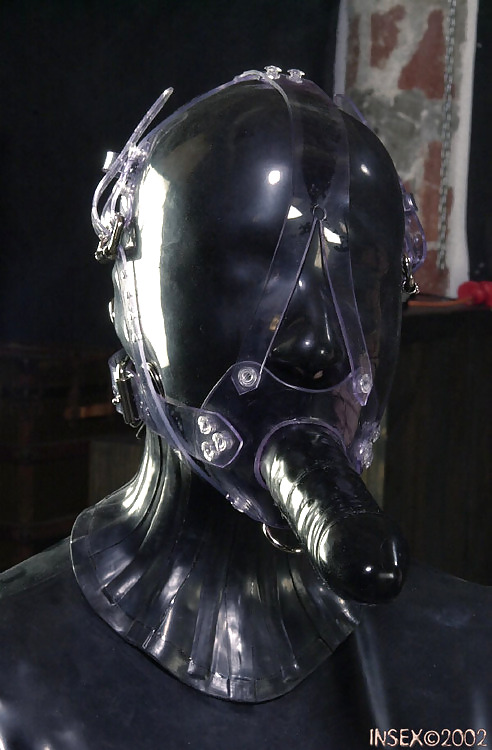 Domme1 #22171753