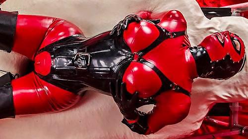 Domme1 #22171830