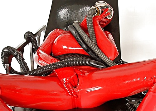 Domme1 #22171844
