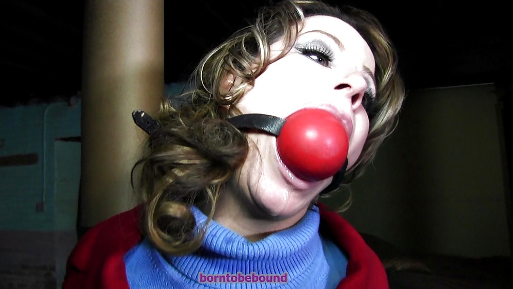 Domme1 #22172429