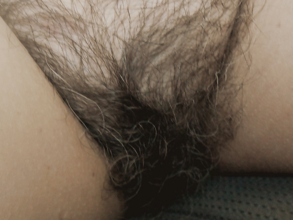 My Wife's Mature Hairy Pussy #19535416