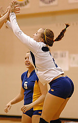 Volleyball Esel - Spandex #10610010