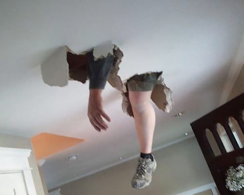 面白い写真 6
 #14244481