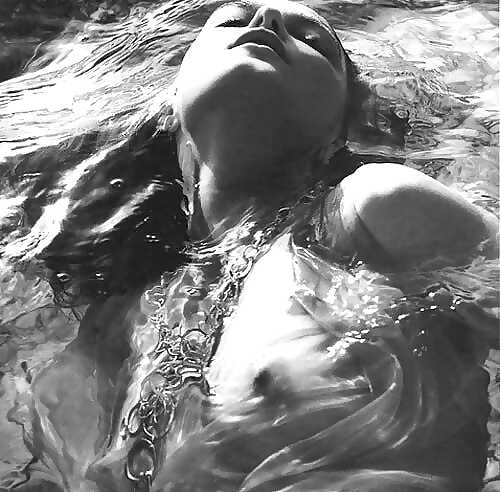 Blanco y negro o gris
 #12388804