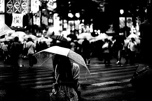 Blanco y negro o gris
 #12388854