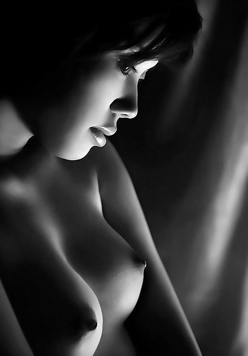 Blanco y negro o gris
 #12388956