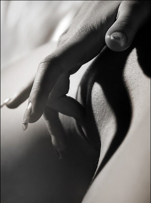 Blanco y negro o gris
 #12389359