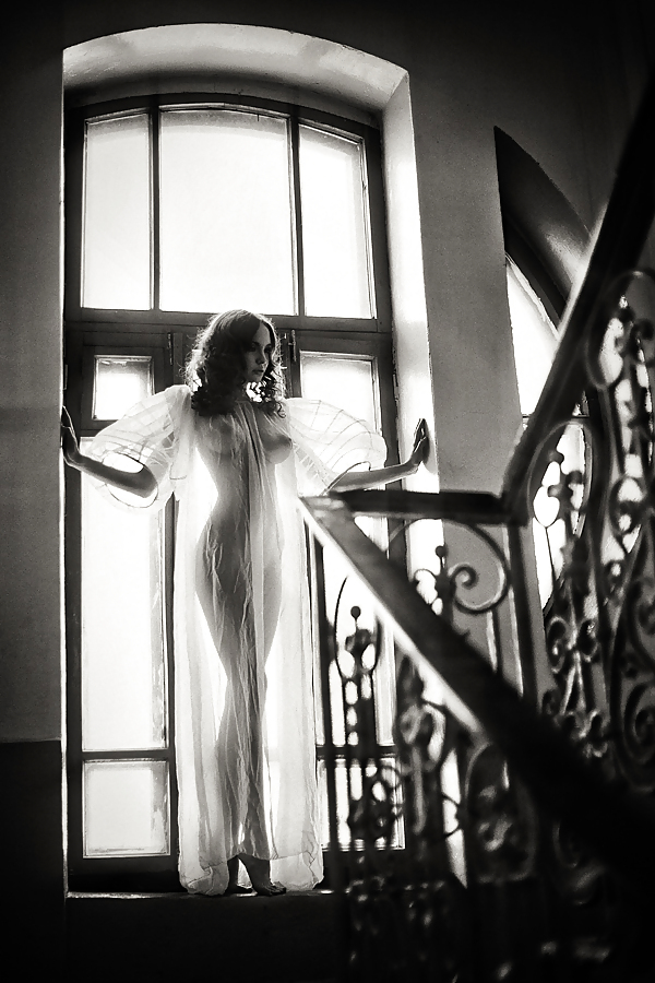 Blanco y negro o gris
 #12389423