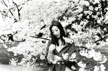 Blanco y negro o gris
 #12389861