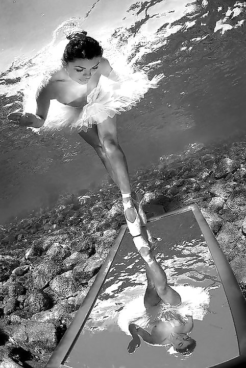 Blanco y negro o gris
 #12390232