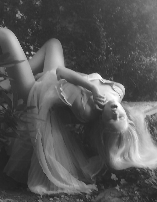 Blanco y negro o gris
 #12390305