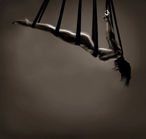 Blanco y negro o gris
 #12390324