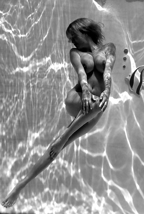 Blanco y negro o gris
 #12390618