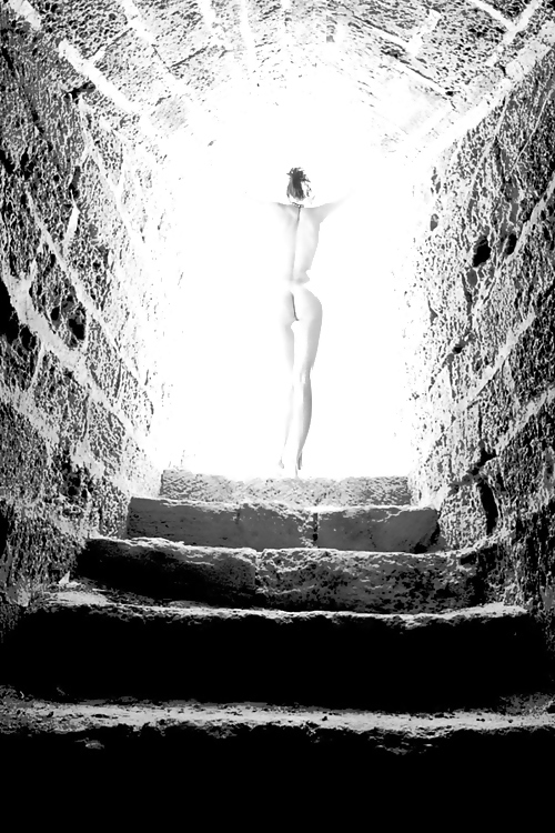 Blanco y negro o gris
 #12390718