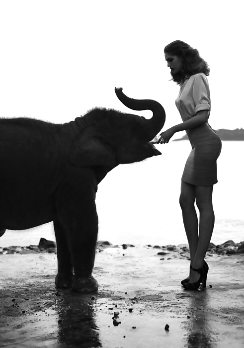 Blanco y negro o gris
 #12390759