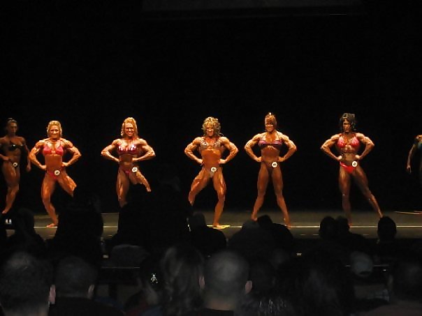 Body builders girlx parte 2
 #236041