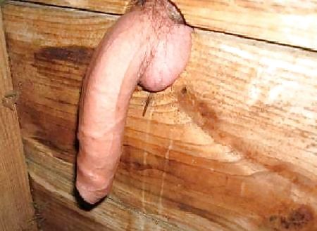 ビッグディック
 #2366253