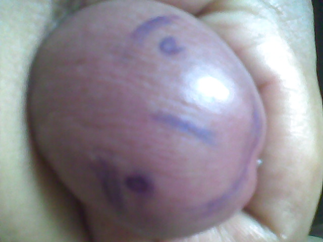 My picture #4736979