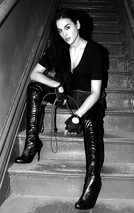 Domatrix II #15253105