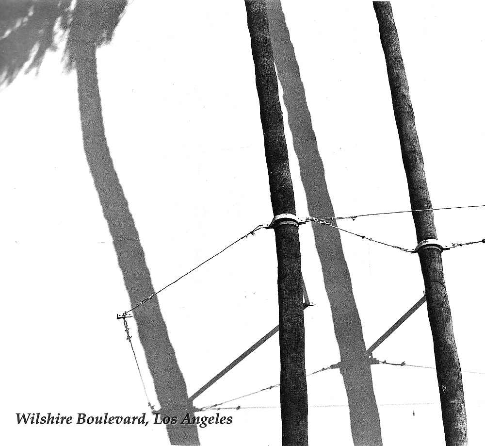 Impresiones de USA por jedman
 #14611038